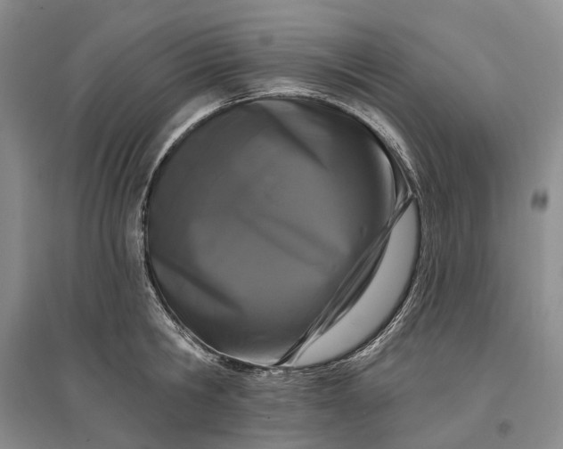 X0000097290806200802291750