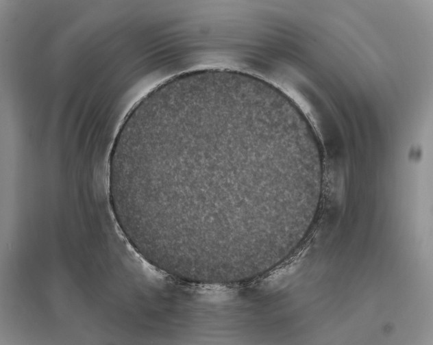 X0000097290807200802291750