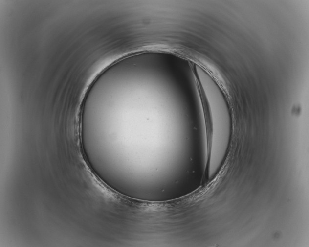 X0000097290808200802291750