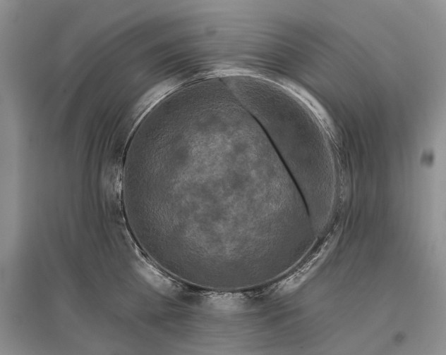 X0000097290809200802291750