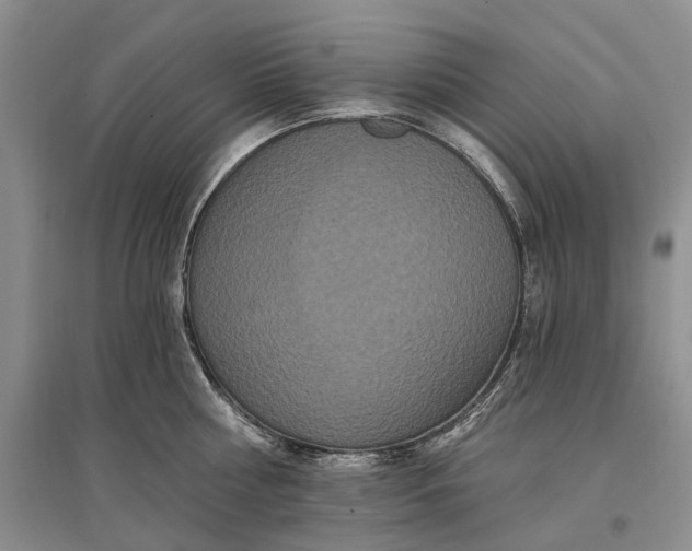 X0000097290810200802291750