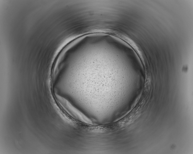 X0000097290811200802291750