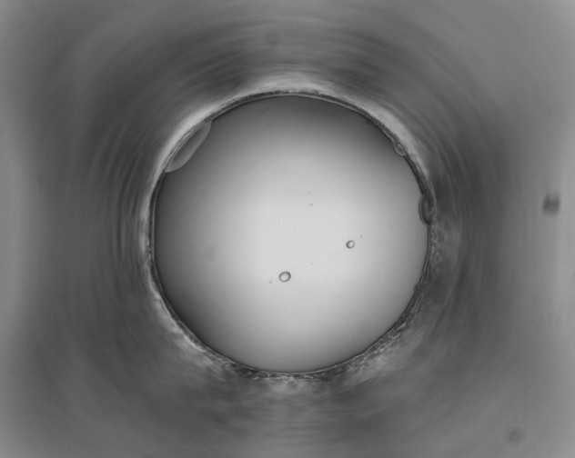 X0000097290815200802291749