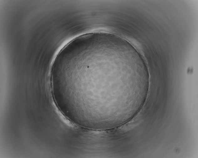 X0000097290816200802291749