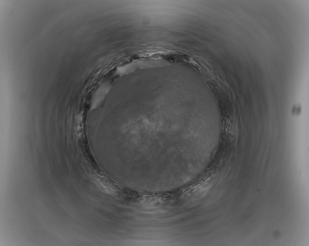X0000097290818200802291749