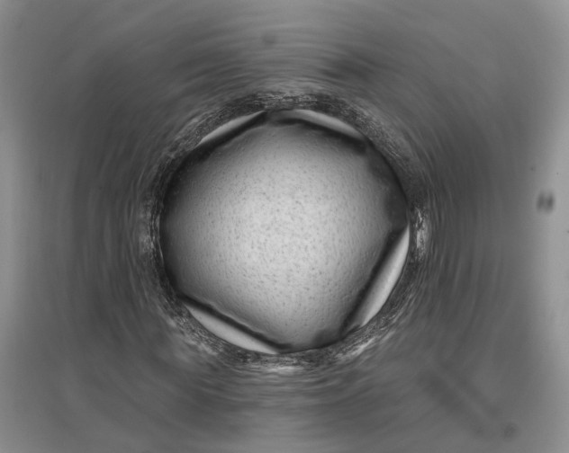 X0000097290819200802291749