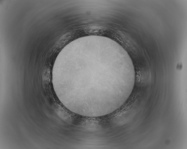 X0000097290820200802291749