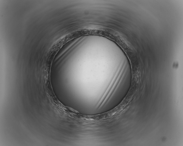 X0000097290821200802291749