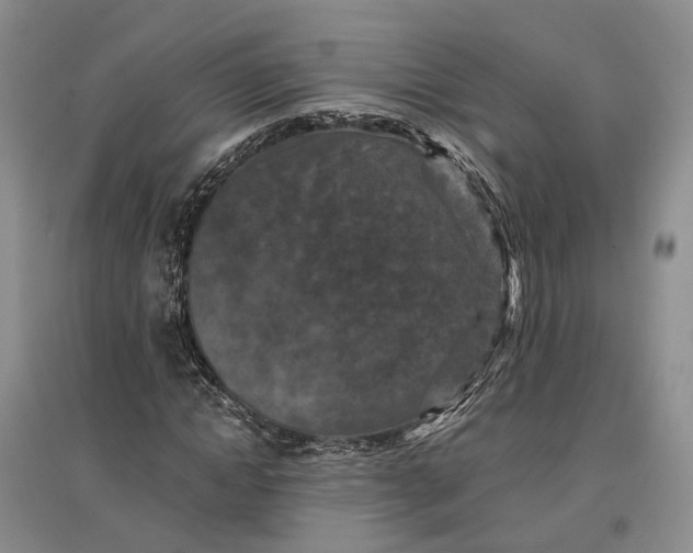 X0000097290822200802291749