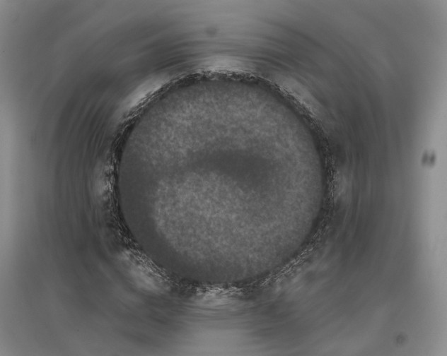 X0000097290824200802291749