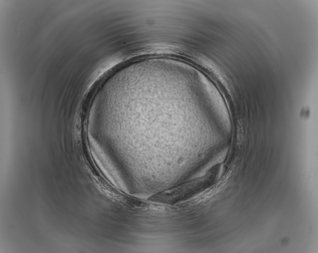 X0000097290827200802291749
