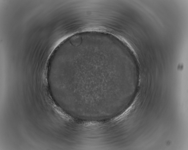 X0000097290830200802291749