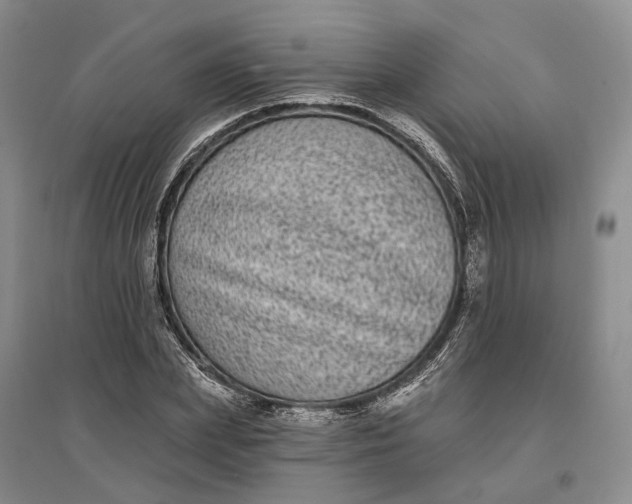 X0000097290831200802291749