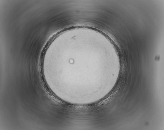 X0000097290832200802291749