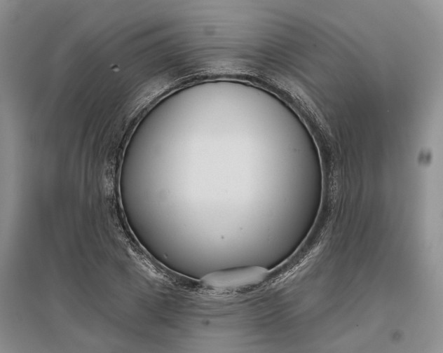 X0000097290833200802291749