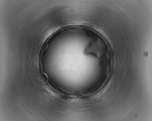 X0000097290834200802291749