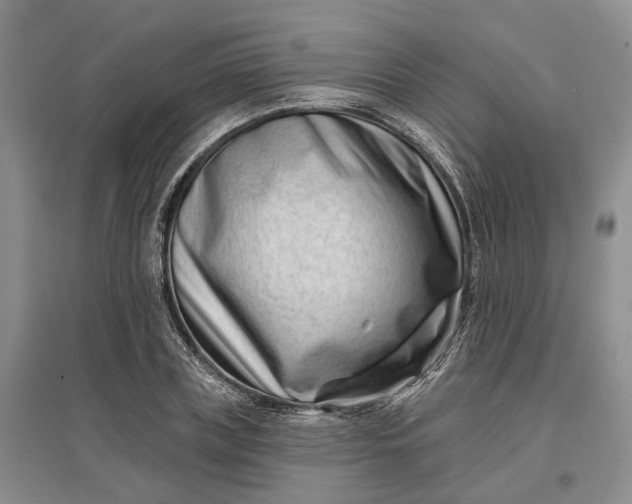 X0000097290835200802291749