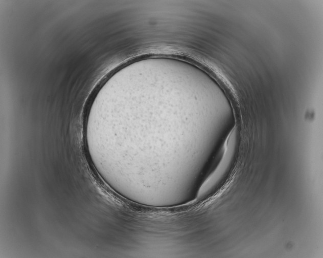 X0000097290837200802291749