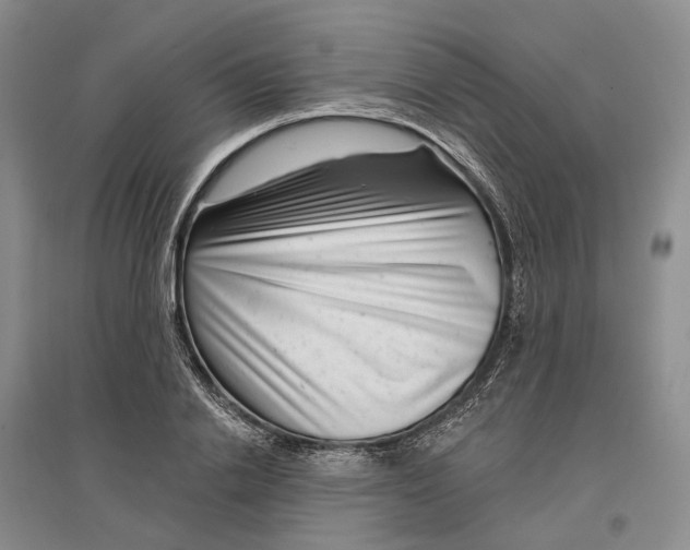 X0000097290838200802291749