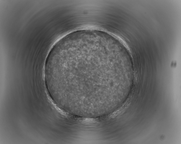 X0000097290839200802291749