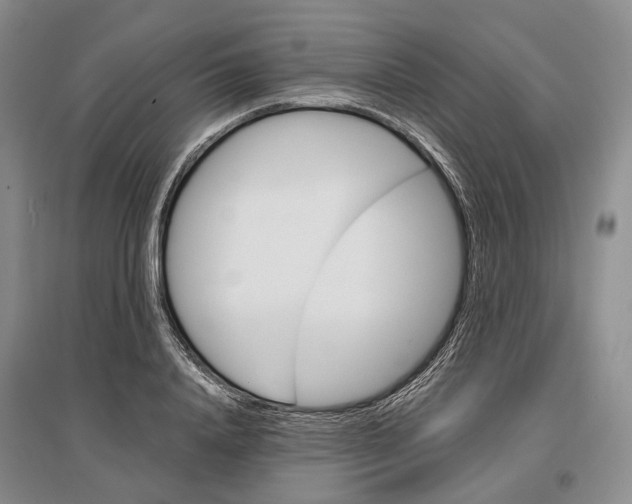 X0000097290840200802291749