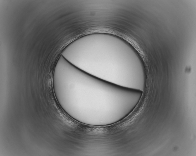 X0000097290841200802291749