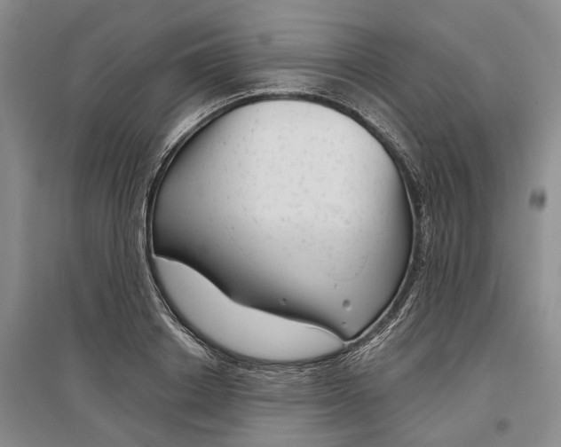 X0000097290842200802291749