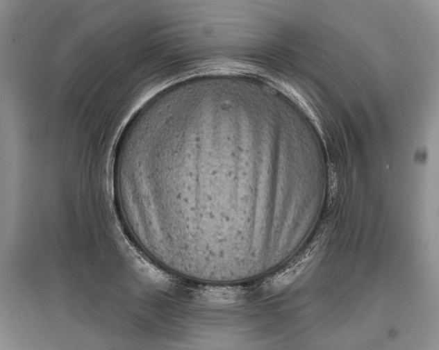 X0000097290843200802291749