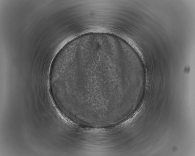 X0000097290845200802291749