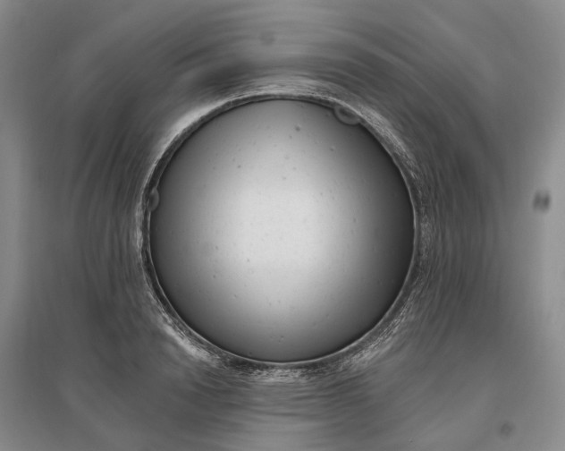X0000097290846200802291749