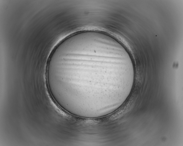X0000097290847200802291749