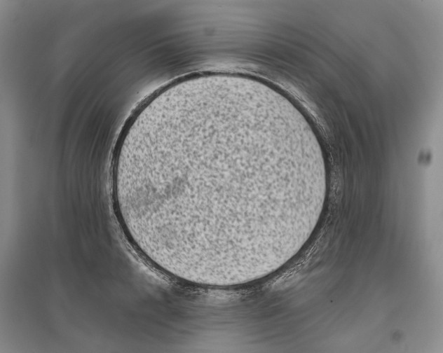 X0000097290848200802291749