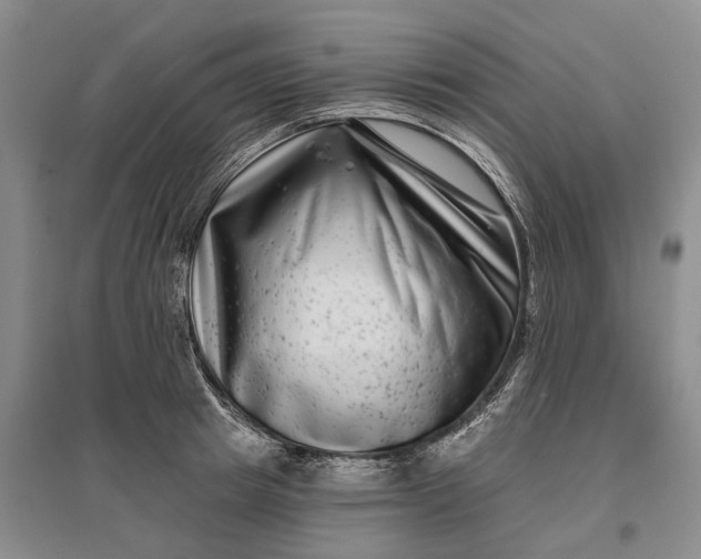 X0000097290849200802291749