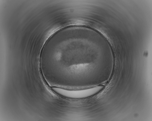 X0000097290850200802291749