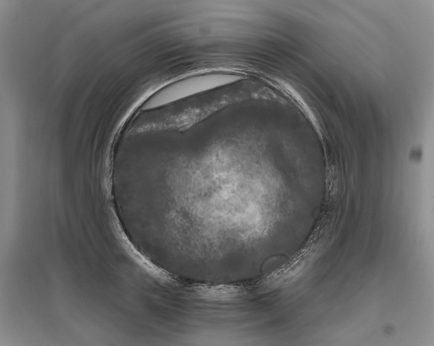 X0000097290851200802291749