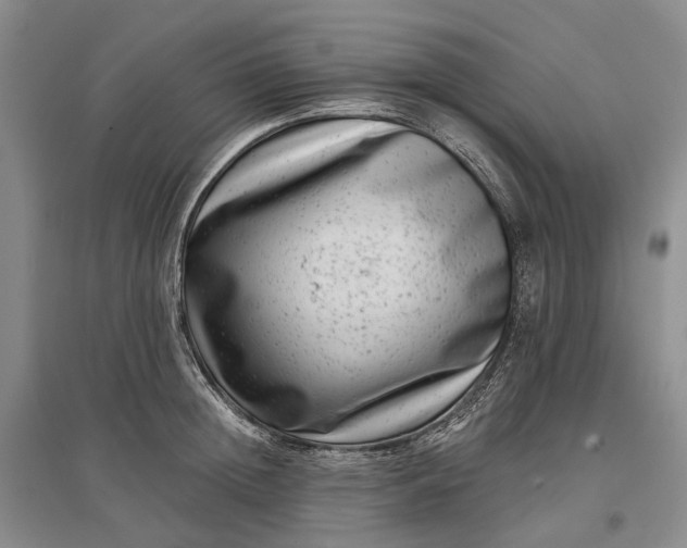 X0000097290852200802291749