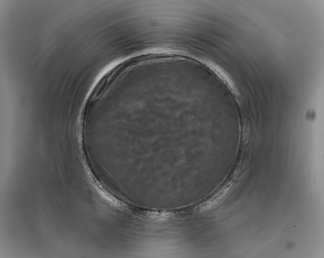 X0000097290854200802291749