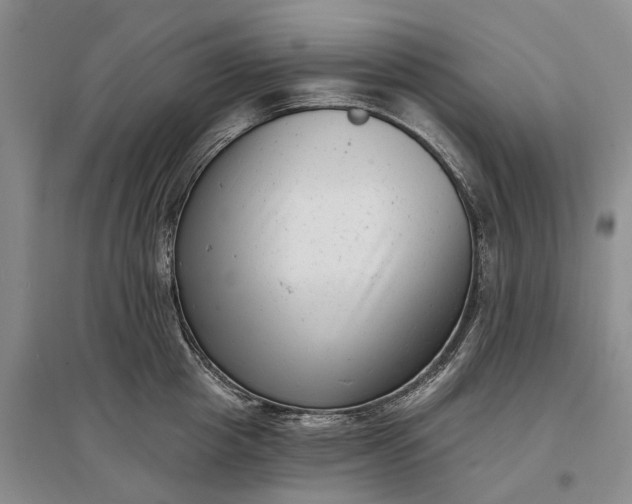 X0000097290857200802291749