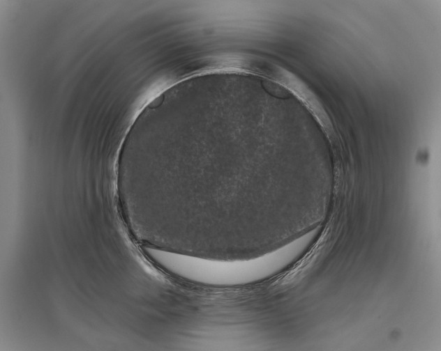 X0000097290858200802291749