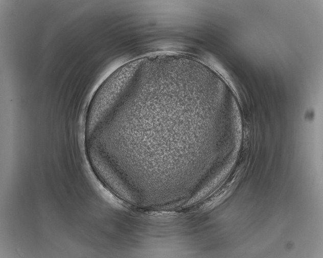 X0000097290859200802291749