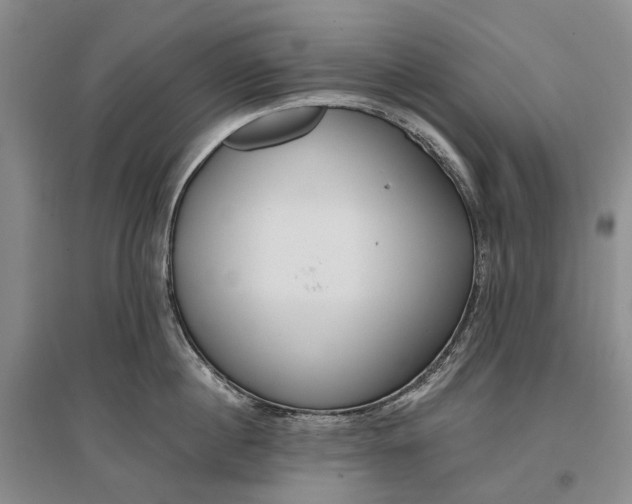 X0000097290860200802291749