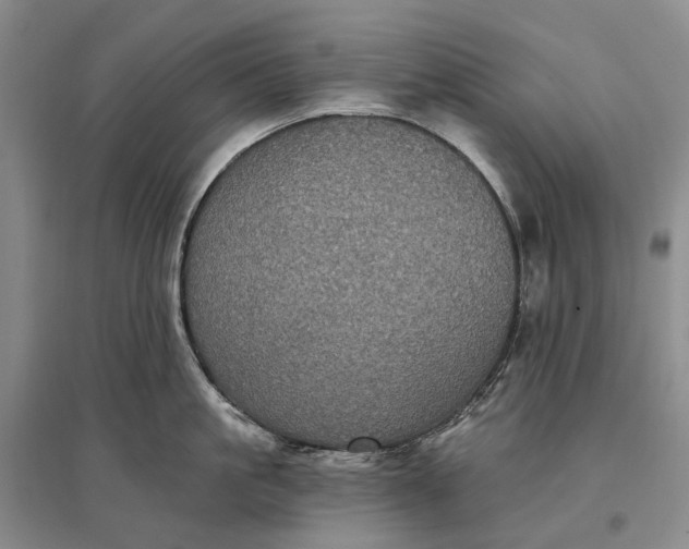 X0000097290861200802291749