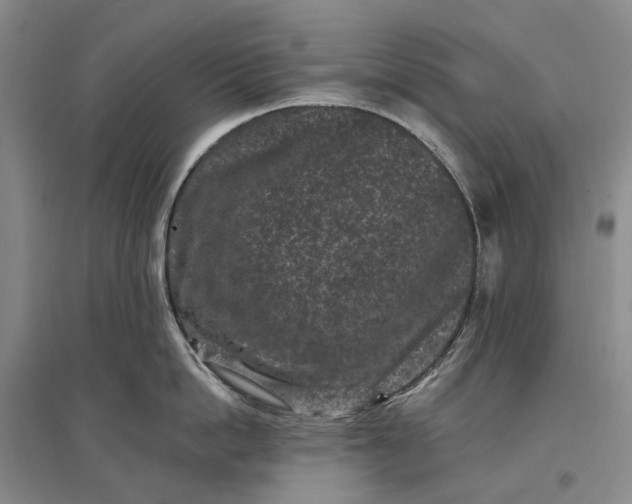 X0000097290862200802291749