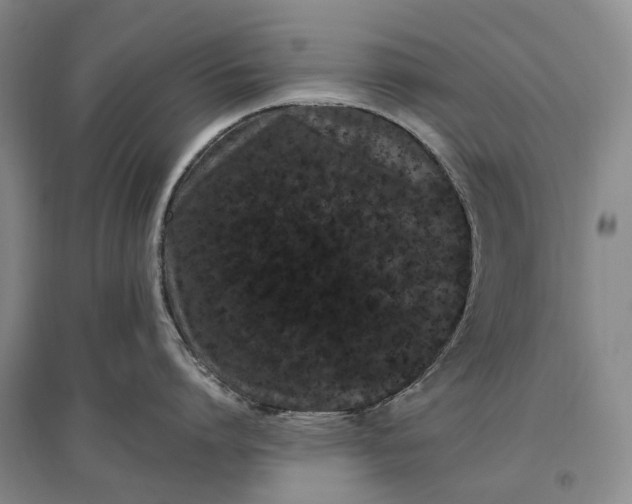 X0000097290864200802291749