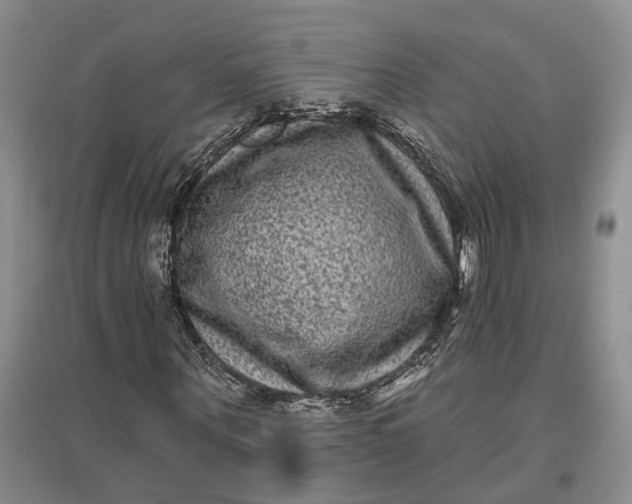 X0000097290867200802291749