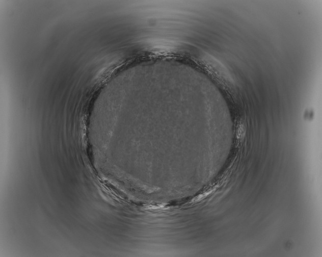 X0000097290868200802291749