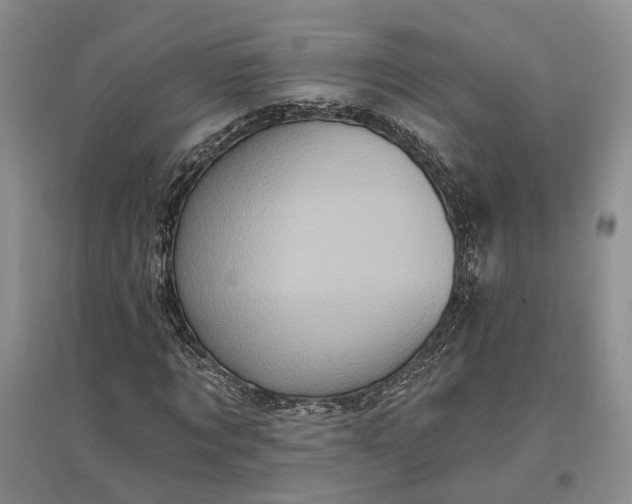 X0000097290869200802291749