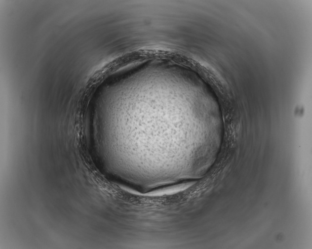X0000097290870200802291749