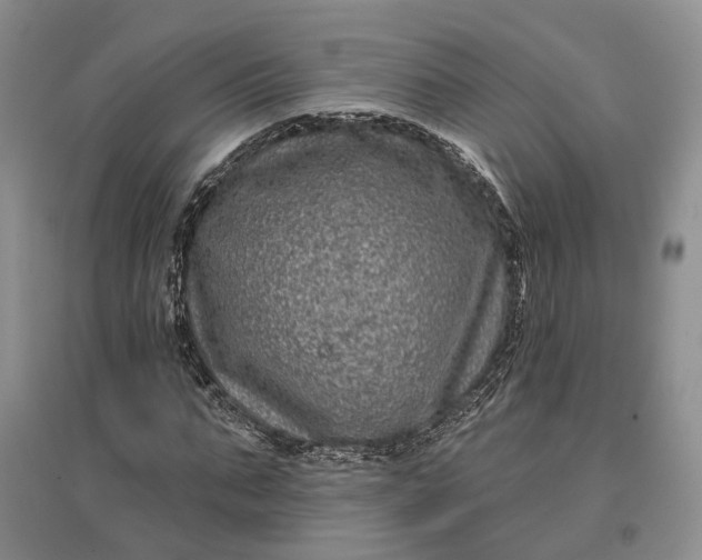 X0000097290871200802291749