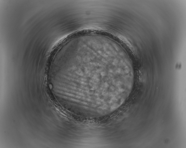 X0000097290872200802291749